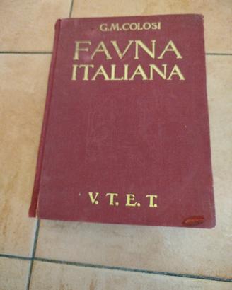 testi animali e/o natura