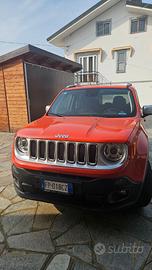 Jeep renwgate 4x4