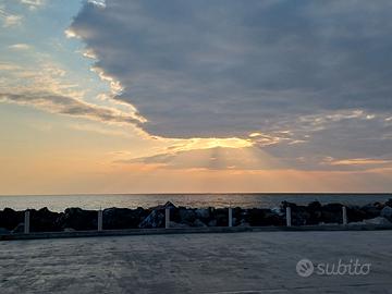 Bilocale a Marina di Pisa