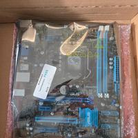 scheda madre Asus P8H77-M LE