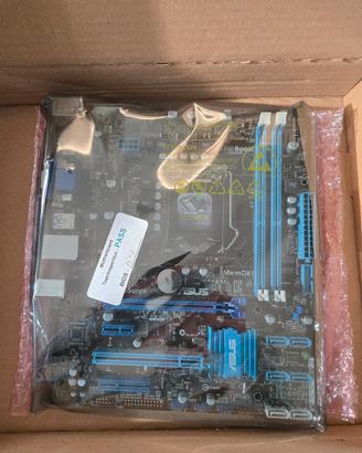 scheda madre Asus P8H77-M LE