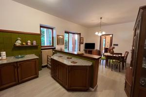 Camere singole con bagno privato - Piazza Tevere