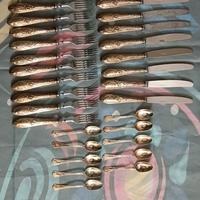 set posate Solingen argento 800 10 pax