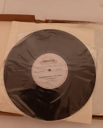 DISCHI : CORSI  DI  LINGUE  SU  VINILE  33  GIRI .