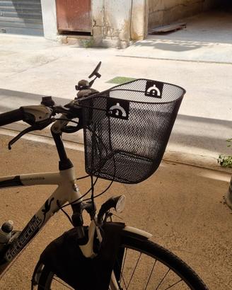 Bicicletta Bottecchia Verde Natura