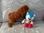 Immagine 1