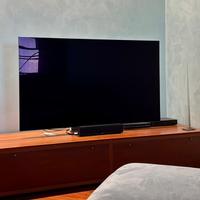 TV LG 65 pollici OLED
