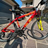 Mountainbike ragazzo 10/15 anni