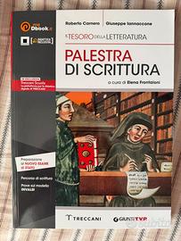 Palestra di scrittura