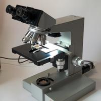 microscopio leitz ,campo oscuro e polarizzata