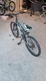 Bicicletta da ragazzo Bemmex