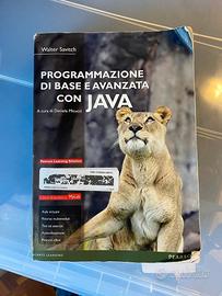 Programmazione di base e avanzata con Java Walt