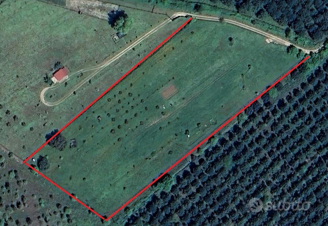 Terreno Agricolo 1,3Ha con attrezzatura - Grosseto - Vista 6