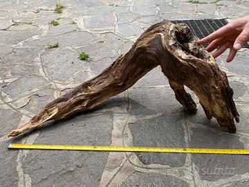 Legno per acquario o terraRio