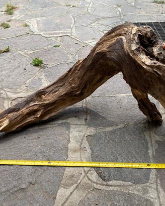 Legno per acquario o terraRio