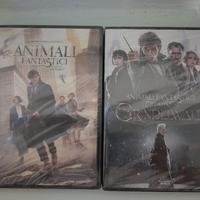 Animali Fantastici  DVD