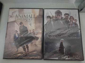 Animali Fantastici  DVD