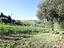 Immagine 20
