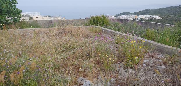 Terreno edificabile a Castro (LE)