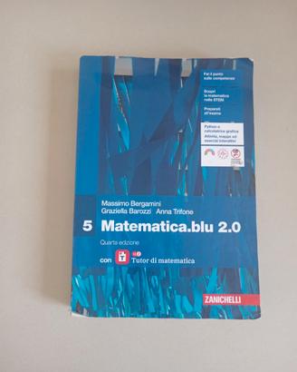 Matematica blu 2.0