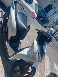 Sh 125 2025