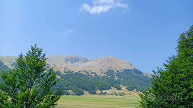 Attico/Mansarda San Massimo [Cod. rif 3265009VRG]