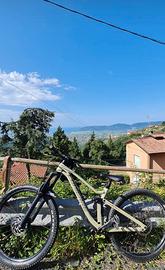 la pierre spicy 7.9 full carbon