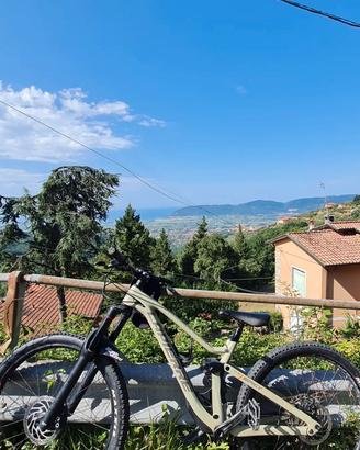 la pierre spicy 7.9 full carbon
