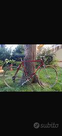 Bici da corsa