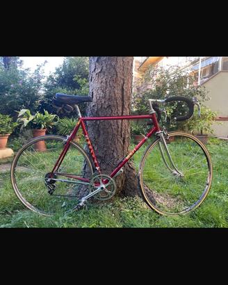 Bici da corsa