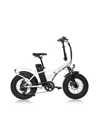 bici fatbike 