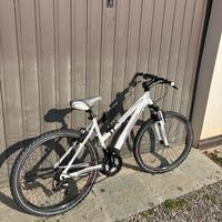 Bici lombardo sestriere 300