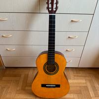 Chitarra acustica Toledo G331G