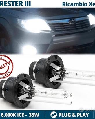 2 Lampadine XENON D2S 6000K per Subaru Forester 3