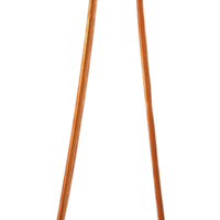 Ektara (Gopichand) - Tradizionale Indiano