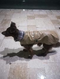 impermeabile, cappotto, mantellina per cani