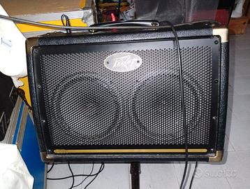 Peavey Ecoustic E208