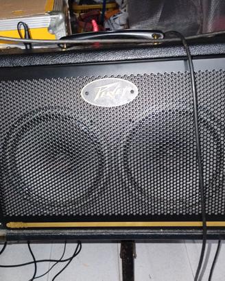 Peavey Ecoustic E208