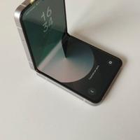 Zflip6