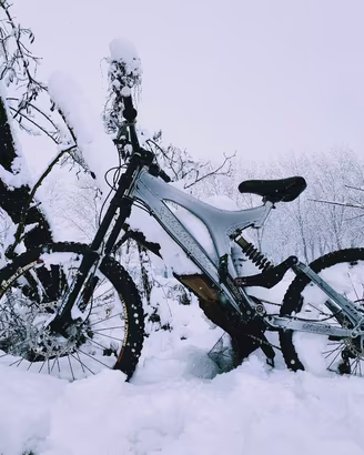 Bici Down Hill BIG HIT SPECIALIZED 