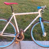 Scatto fisso ruota Flip Flop single speed