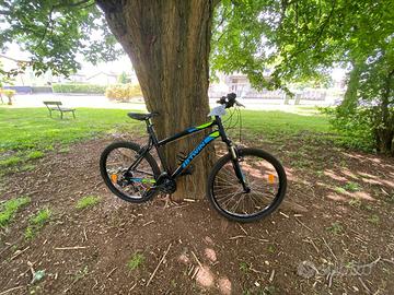 bicicletta ragazzo