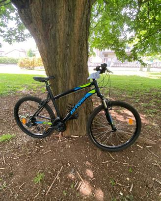 bicicletta ragazzo