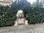 Immagine 5