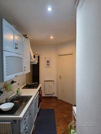 Prati-mazzini stanze libere da subito