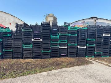 cassette di plastica per frutta e verdura