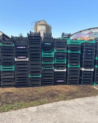 cassette di plastica per frutta e verdura