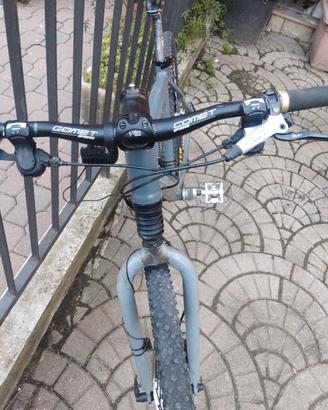 bici cannodale