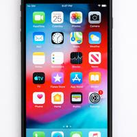 Apple iPhone 6 plus 64 GB funzionante cellulare