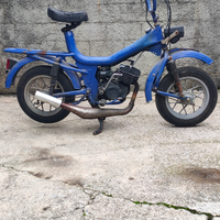 Peripoli Tir morini 50cc